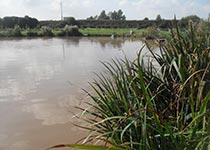 001 Lathom Fisheries